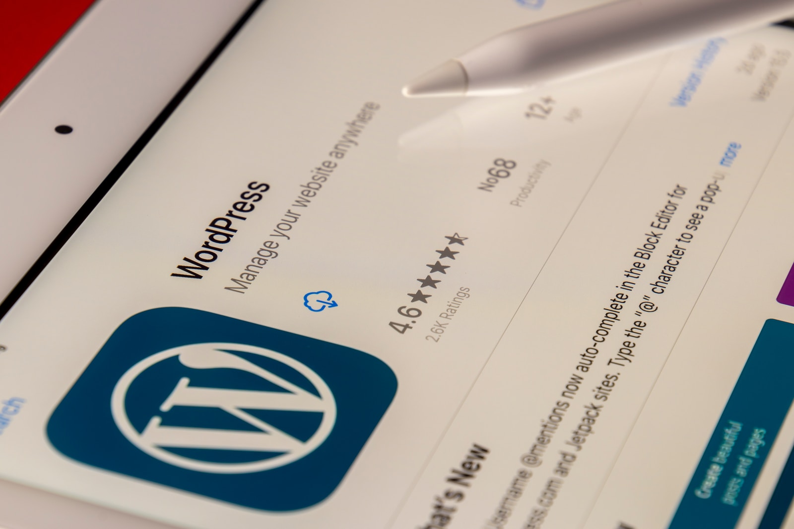 What is wordpress