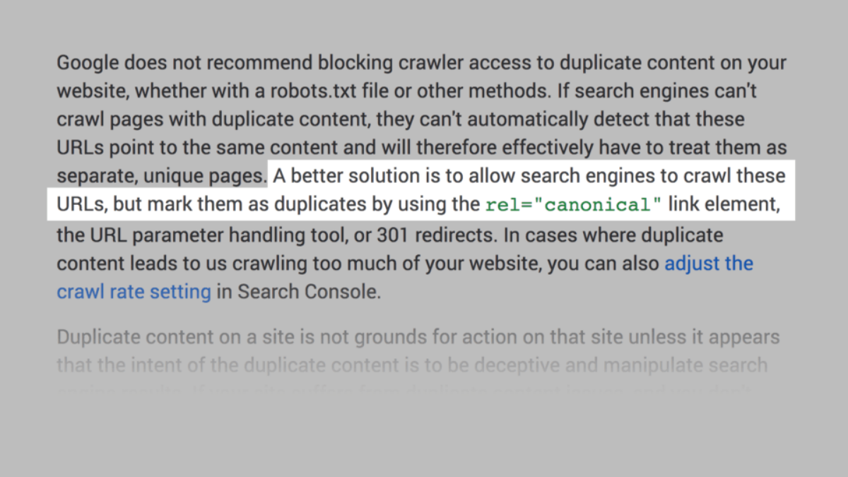 Use the Canonical Tag