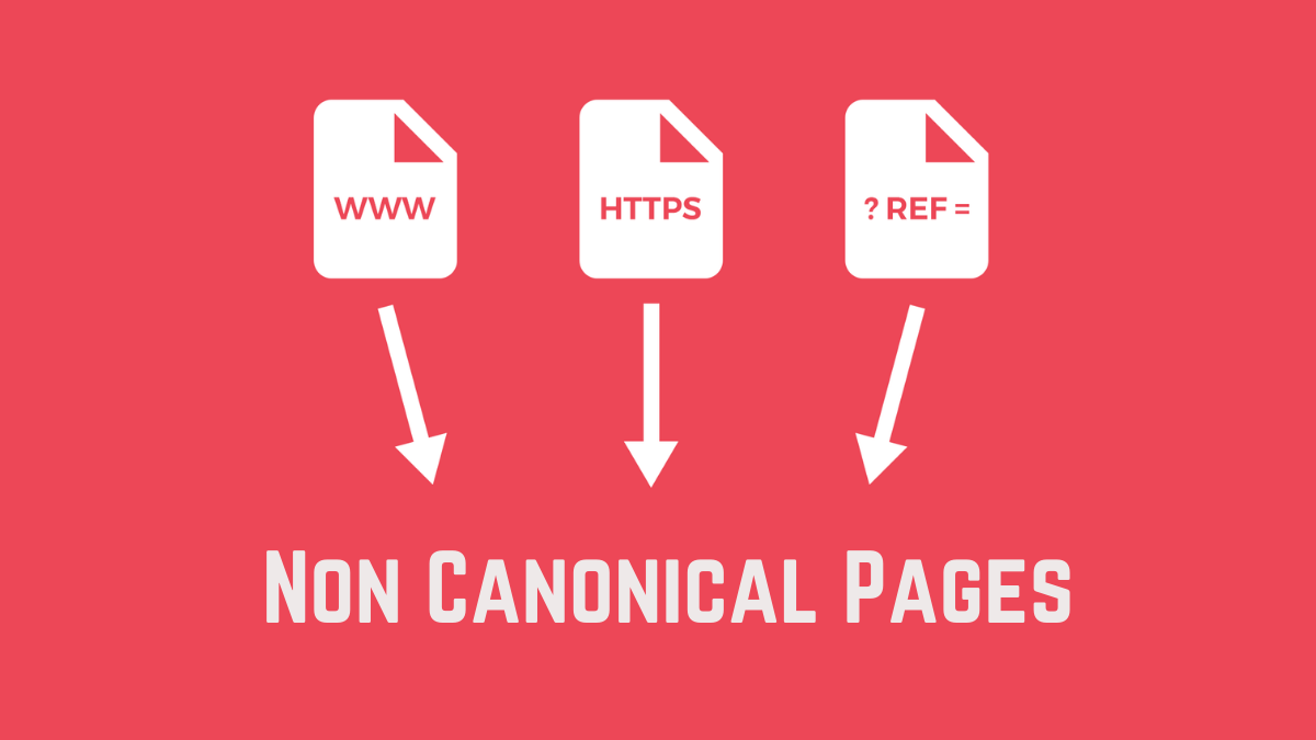 Non Canonical Pages