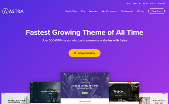 astra-theme